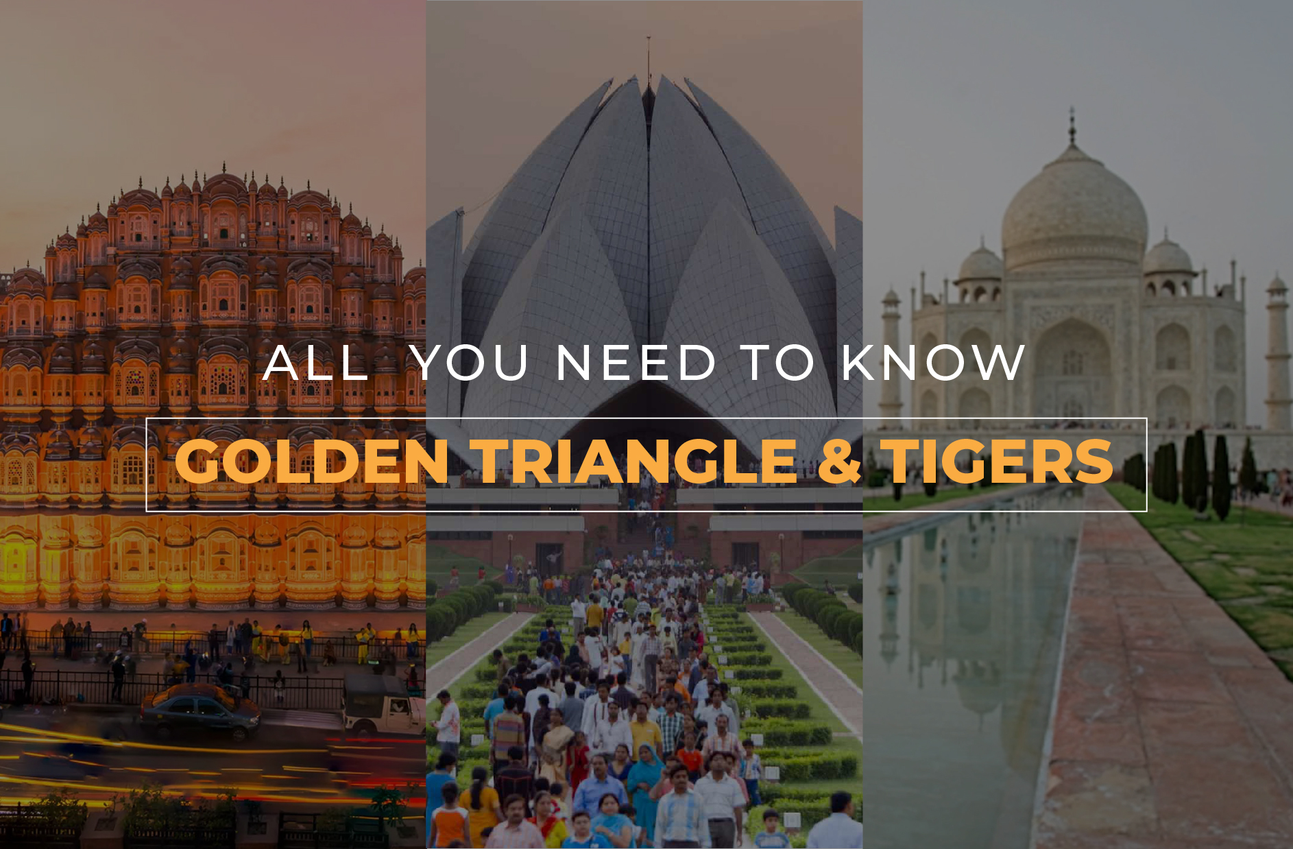 GOLDEN TRIANGLE AND TIGERS